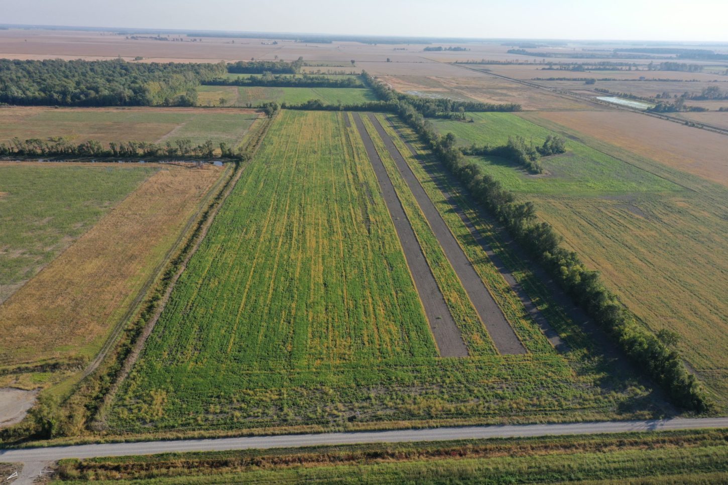 Harris Real Estate & Auction