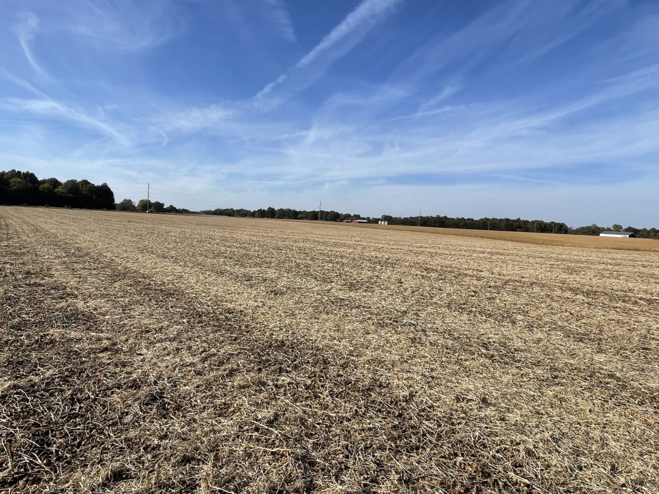 Auctions Harris Real Estate & Auction