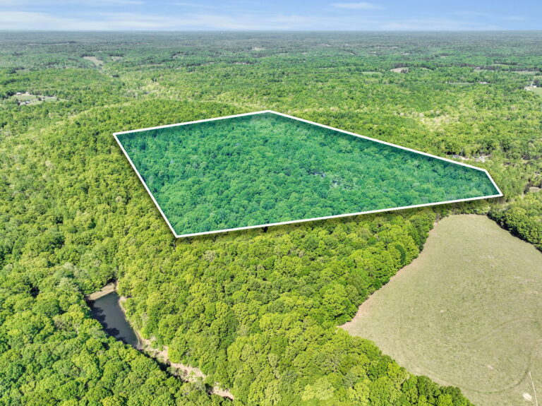 Auctions Harris Real Estate & Auction